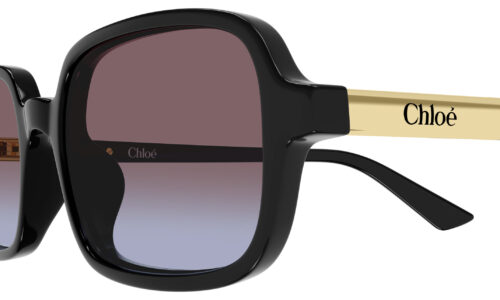 Chloé sólgleraugu 0363S 53