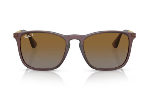 Ray Ban sólgleraugu 4187 54