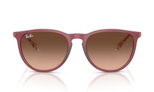 Ray Ban sólgleraugu Erika 4171 54