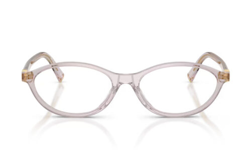 Miu Miu umgjörð 09XV 53
