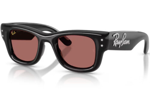 Ray Ban sólgleraugu Wayfarer Puffer 4940B 47