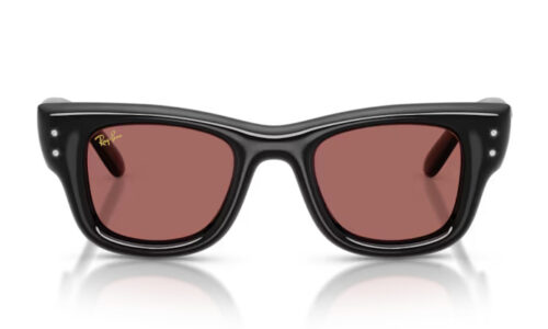 Ray Ban sólgleraugu Wayfarer Puffer 4940B 47