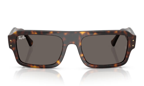 Ray Ban sólgleraugu Flacko 4454 56