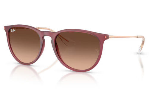 Ray Ban sólgleraugu Erika 4171 54