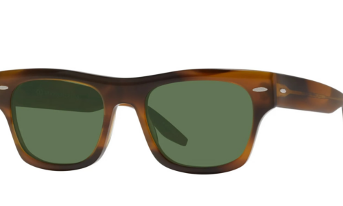 Barton Perreira sólgleraugu Blackwell MOT/BTG 53