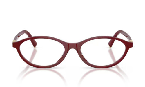 Miu Miu umgjörð 09XV 53