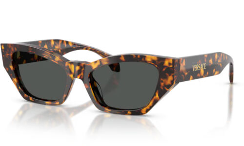 Versace sólgleraugu 4488U 53