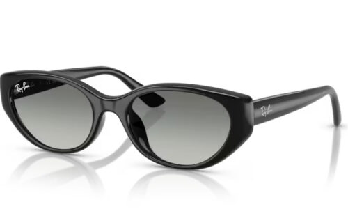 Ray Ban sólgleraugu 4457D 55