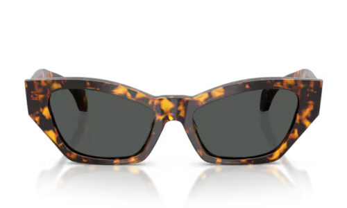Versace sólgleraugu 4488U 53