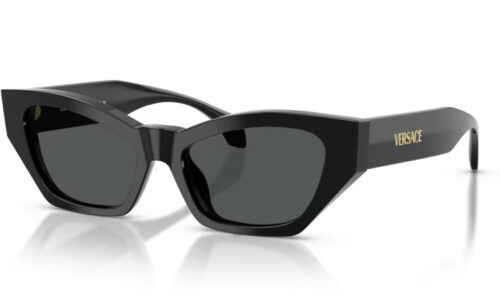 Versace sólgleraugu 4488U 53