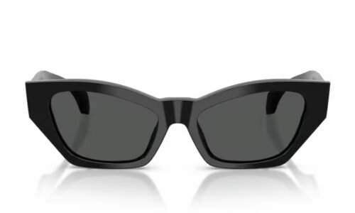 Versace sólgleraugu 4488U 53