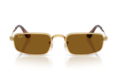 Ray Ban sólgleraugu 3927 54