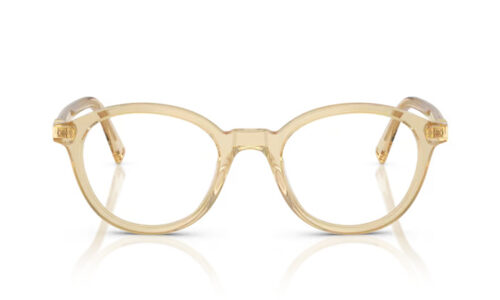 Miu Miu umgjörð 02WV 50