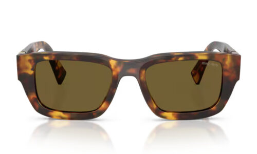 Miu Miu sólgleraugu C04S 53