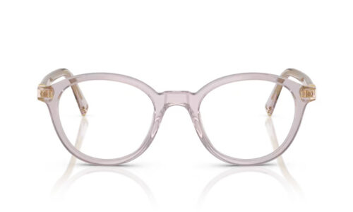 Miu Miu umgjörð 02WV 50