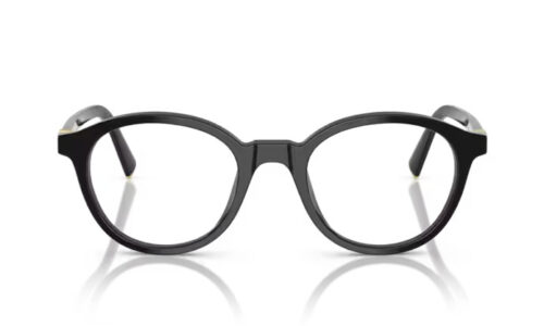 Miu Miu umgjörð 02WV 50
