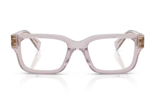 Miu Miu umgjörð 02YV 51